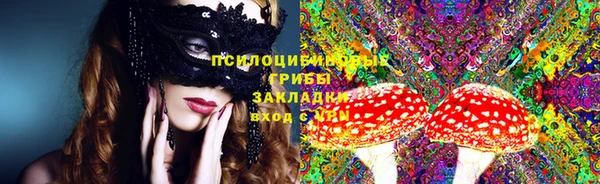 первитин Нея